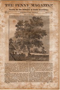 The Penny Magazine articles from 1832